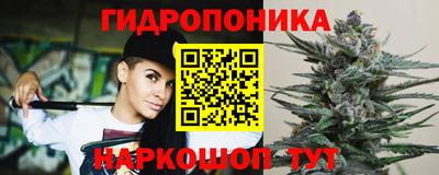 дживик Тверь