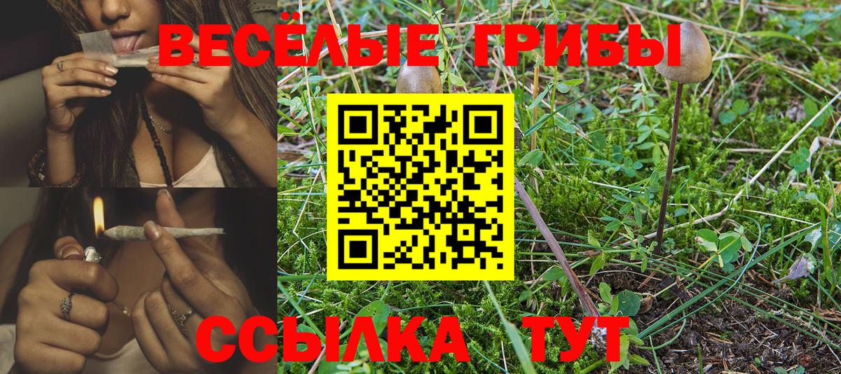 Новороссийск  Галлюциногенные грибы GOLDEN TEACHER  Вход с VPN 